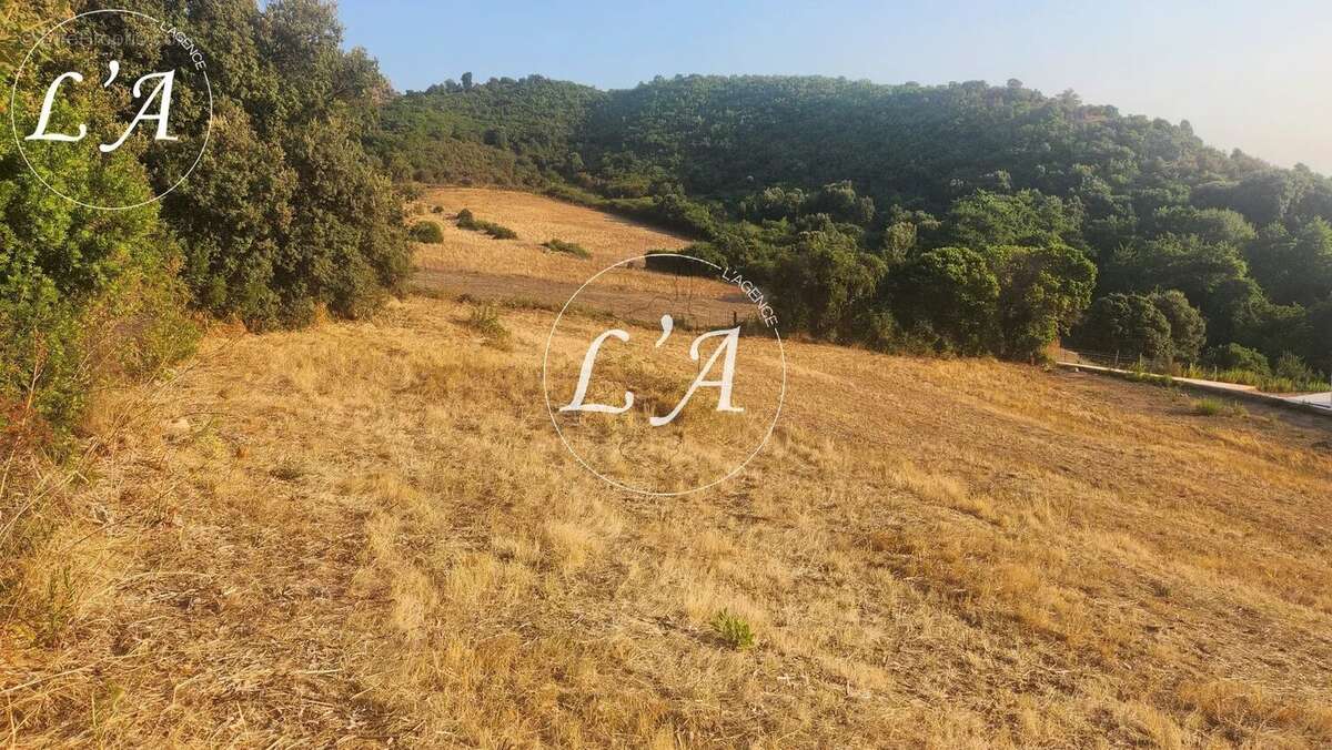 Terrain à BASTELICACCIA