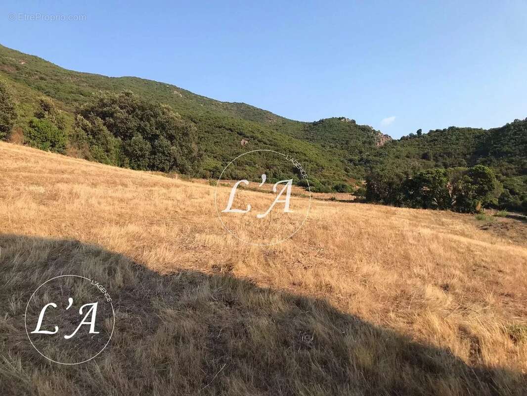 Terrain à BASTELICACCIA