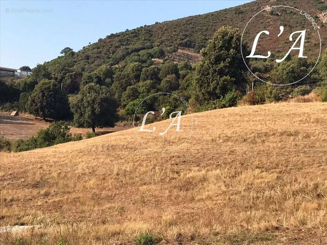 Terrain à BASTELICACCIA