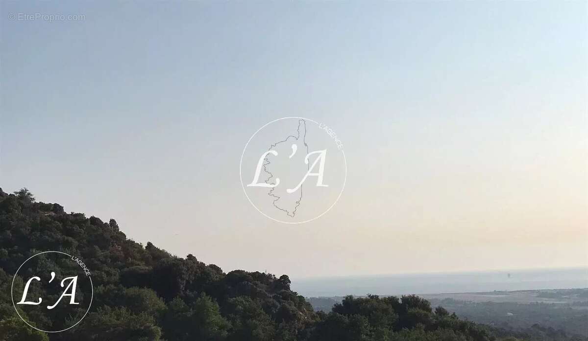 Terrain à BASTELICACCIA