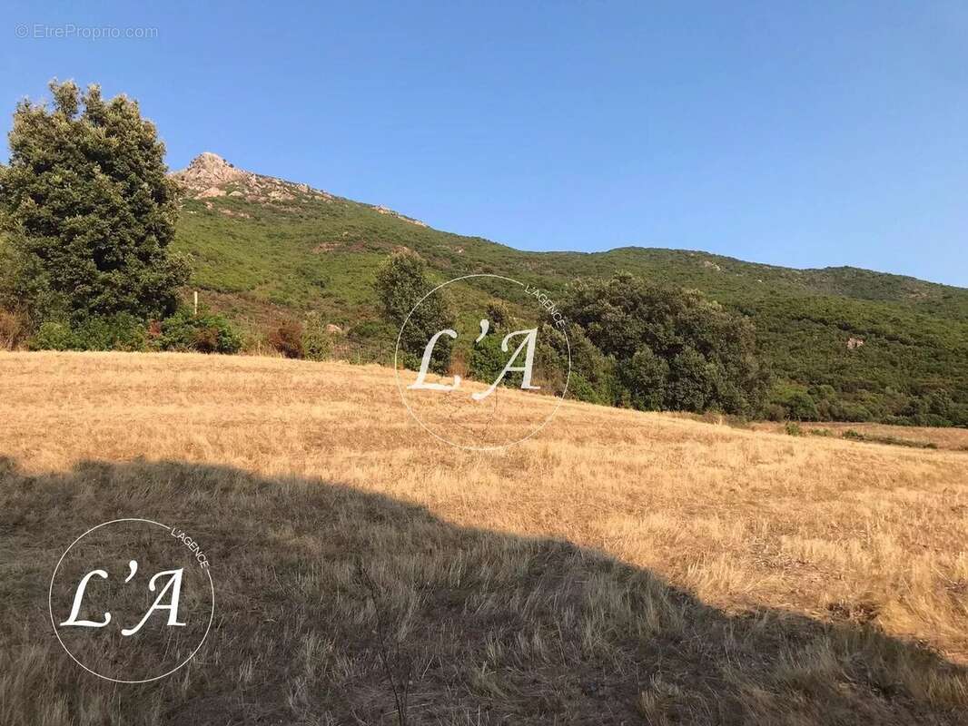Terrain à BASTELICACCIA