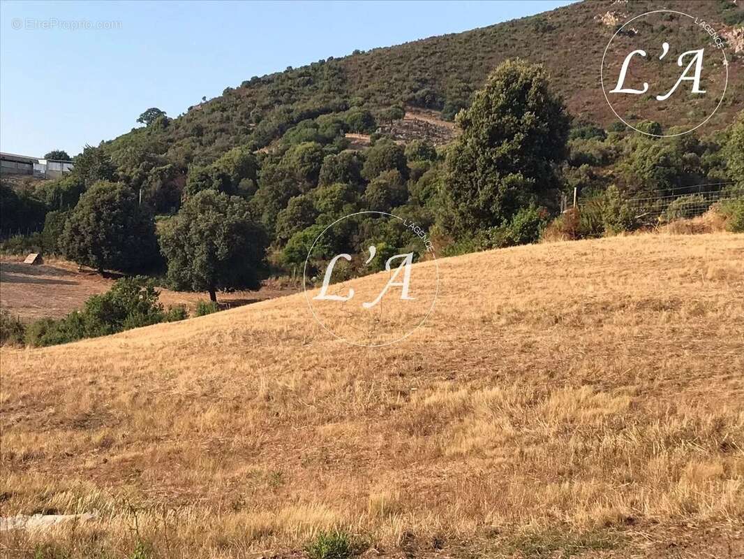 Terrain à BASTELICACCIA