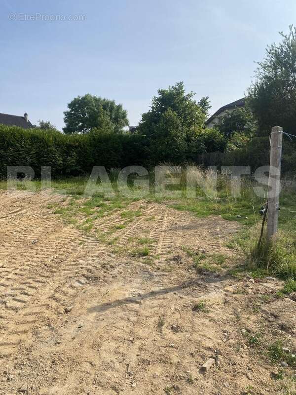 IMG_3716 - Terrain à SAINTE-GENEVIEVE-DES-BOIS