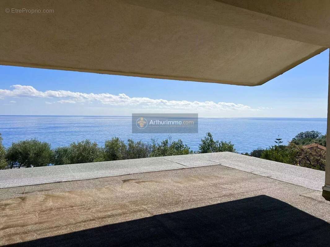 Maison à SAN-MARTINO-DI-LOTA