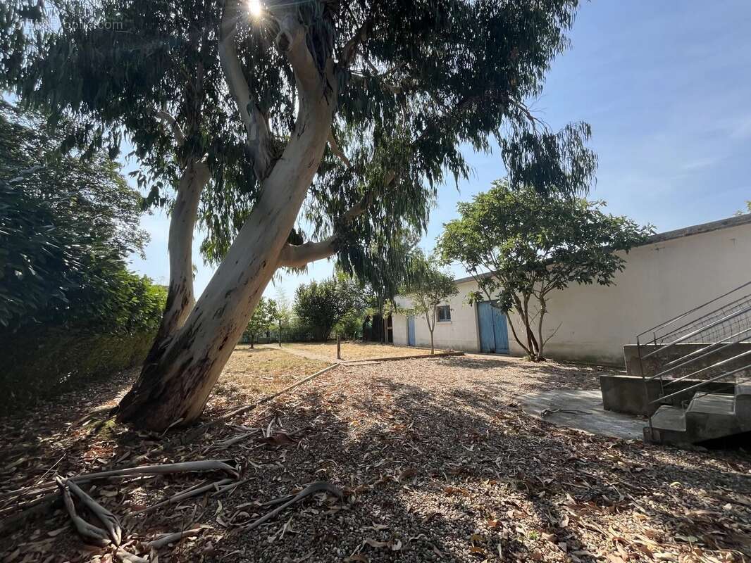 Maison à LESCURE-D&#039;ALBIGEOIS