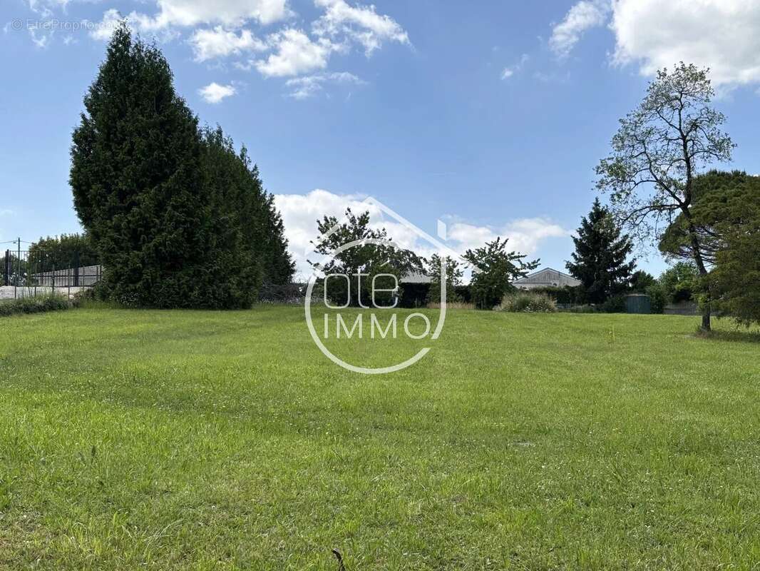 Terrain à SAINTE-COLOMBE