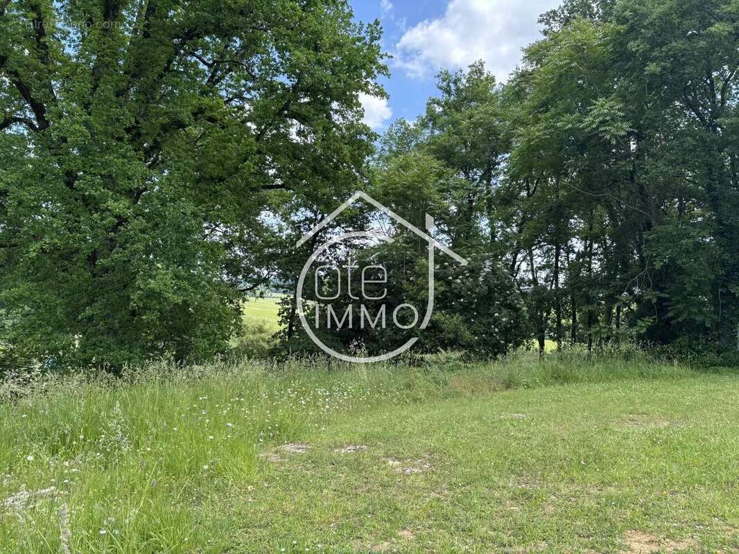 Terrain à SAINTE-COLOMBE