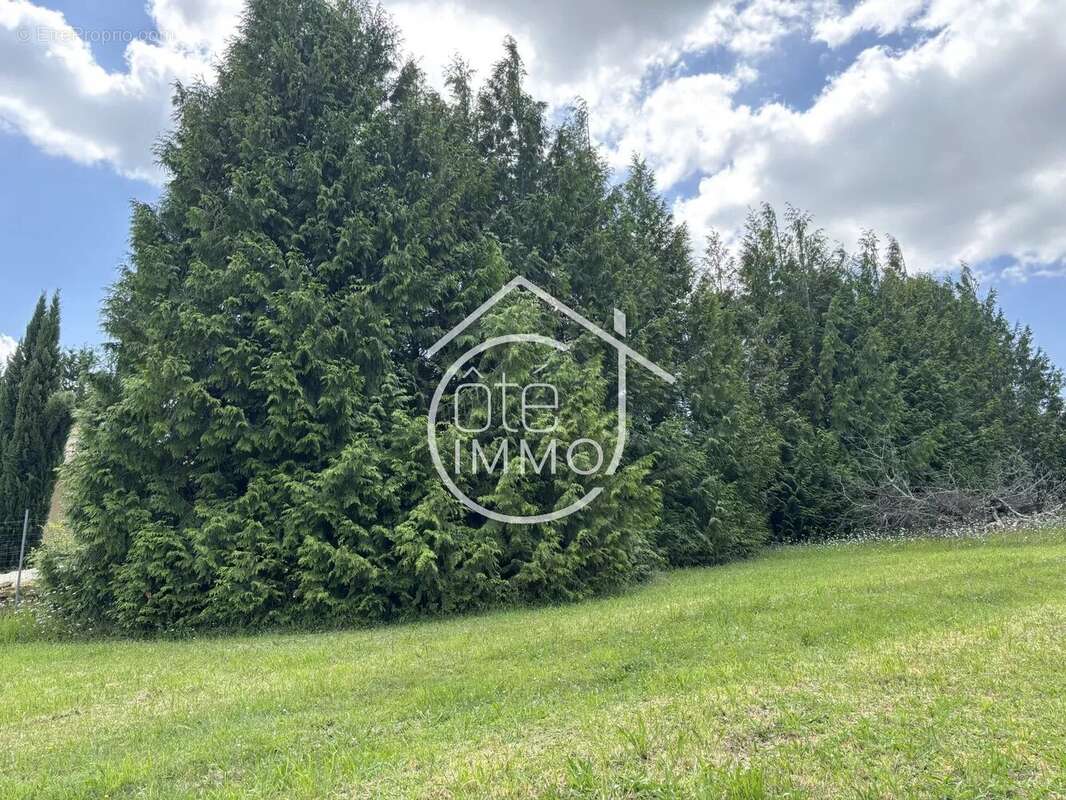 Terrain à SAINTE-COLOMBE