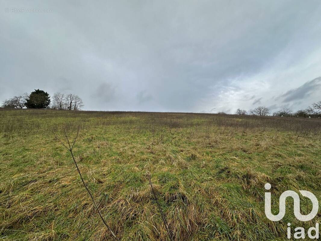 Photo 1 - Terrain à COURTENAY