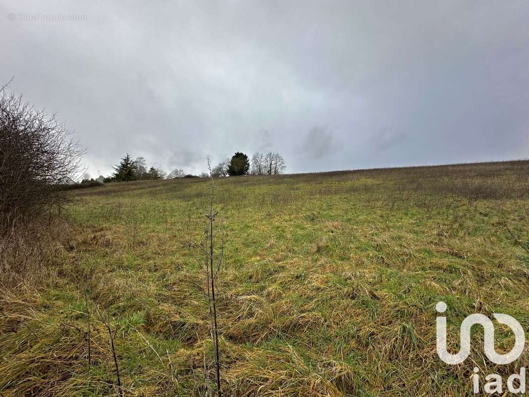 Photo 2 - Terrain à COURTENAY