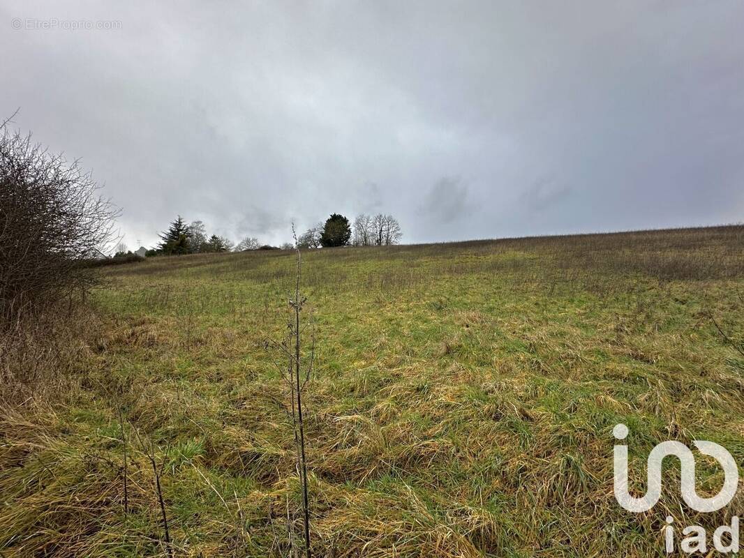 Photo 1 - Terrain à COURTENAY