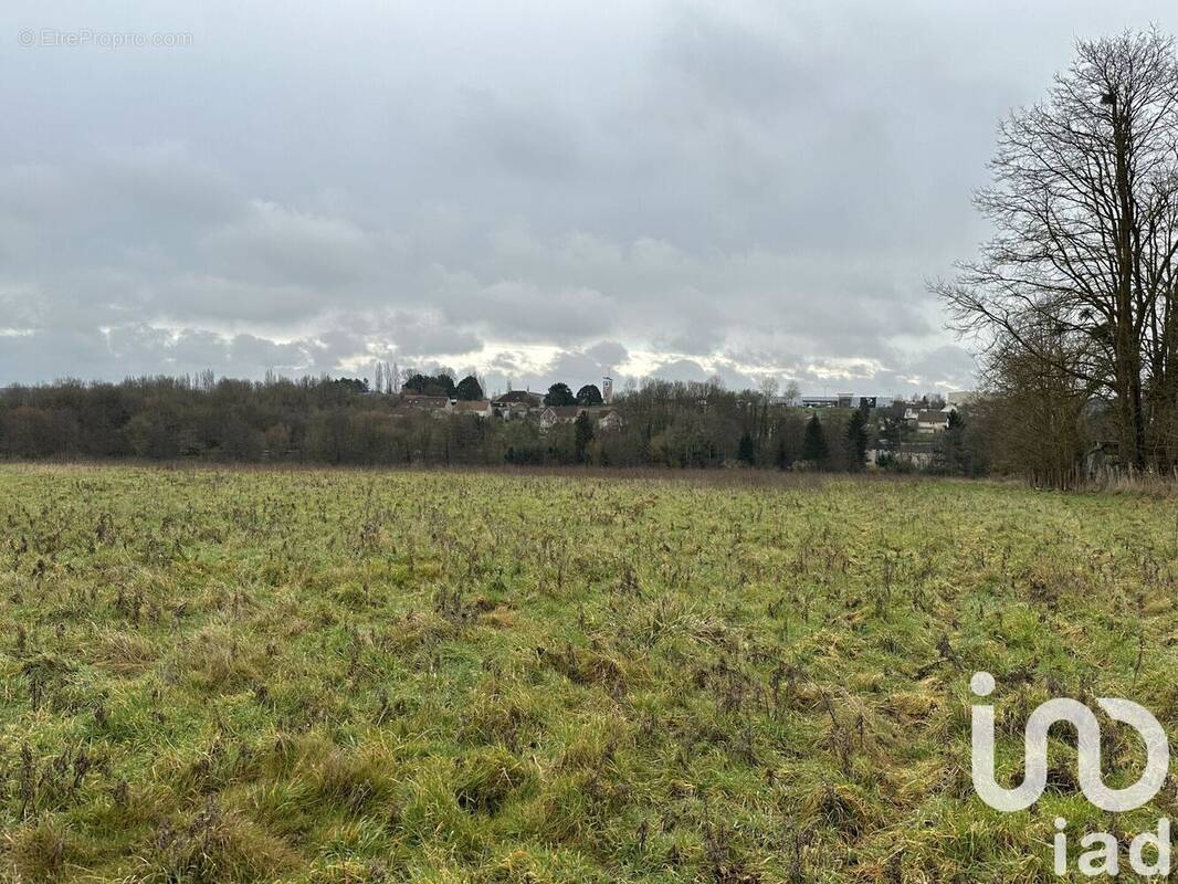 Photo 1 - Terrain à COURTENAY