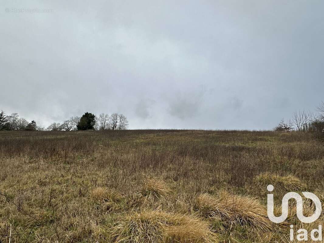 Photo 3 - Terrain à COURTENAY