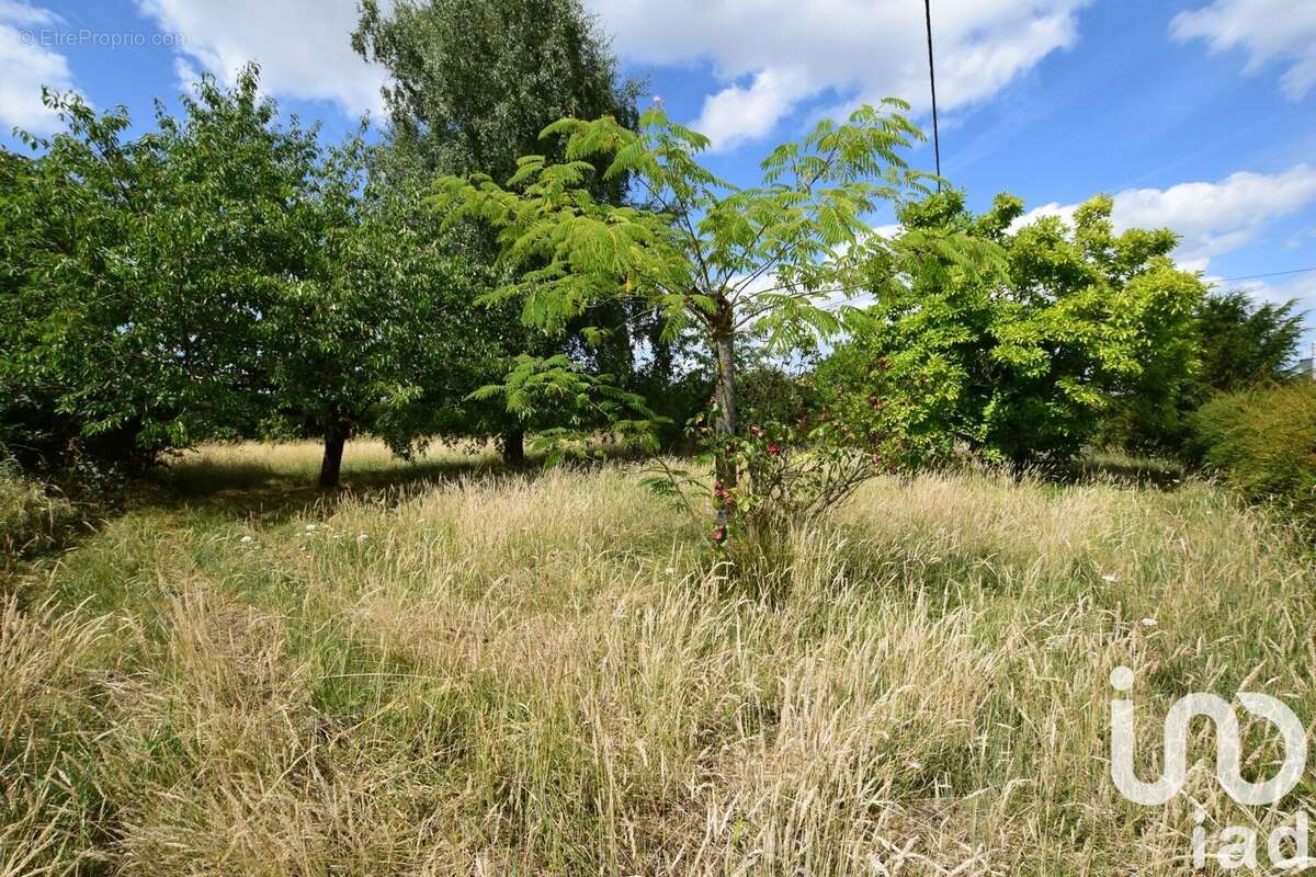 Photo 2 - Terrain à SAINT-BRANCHS