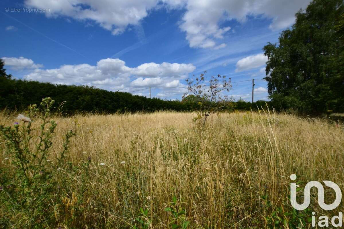 Photo 2 - Terrain à SAINT-BRANCHS