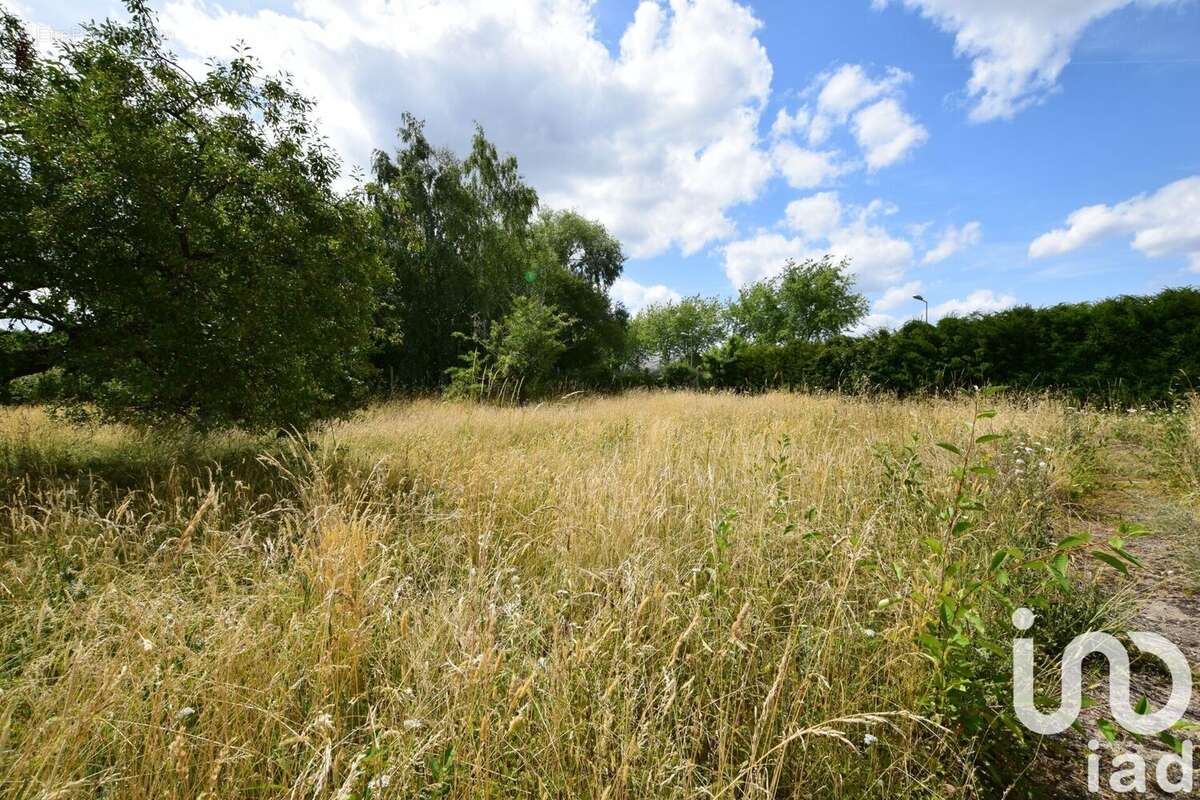 Photo 2 - Terrain à SAINT-BRANCHS