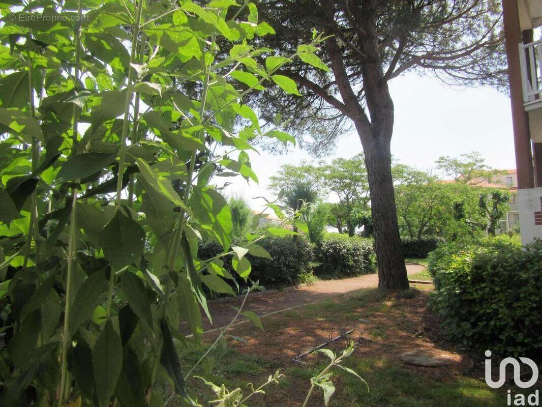 Photo 8 - Appartement à TALMONT-SAINT-HILAIRE