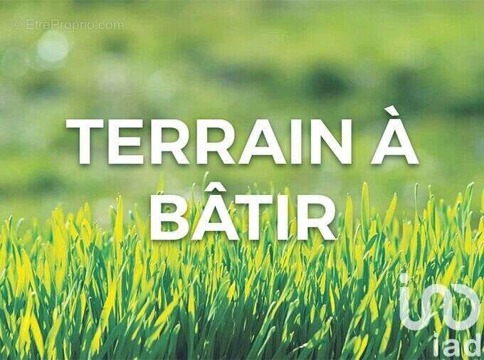 Photo 3 - Terrain à GREZ-SUR-LOING