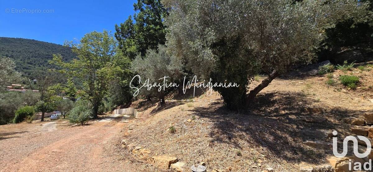 Photo 1 - Terrain à SOLLIES-TOUCAS