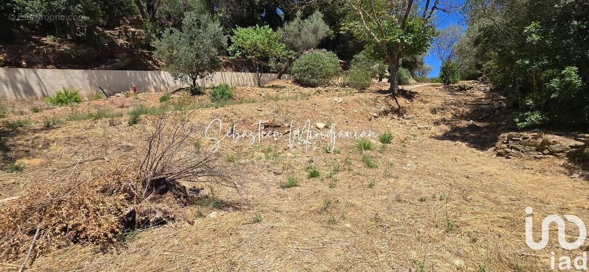 Photo 3 - Terrain à SOLLIES-TOUCAS