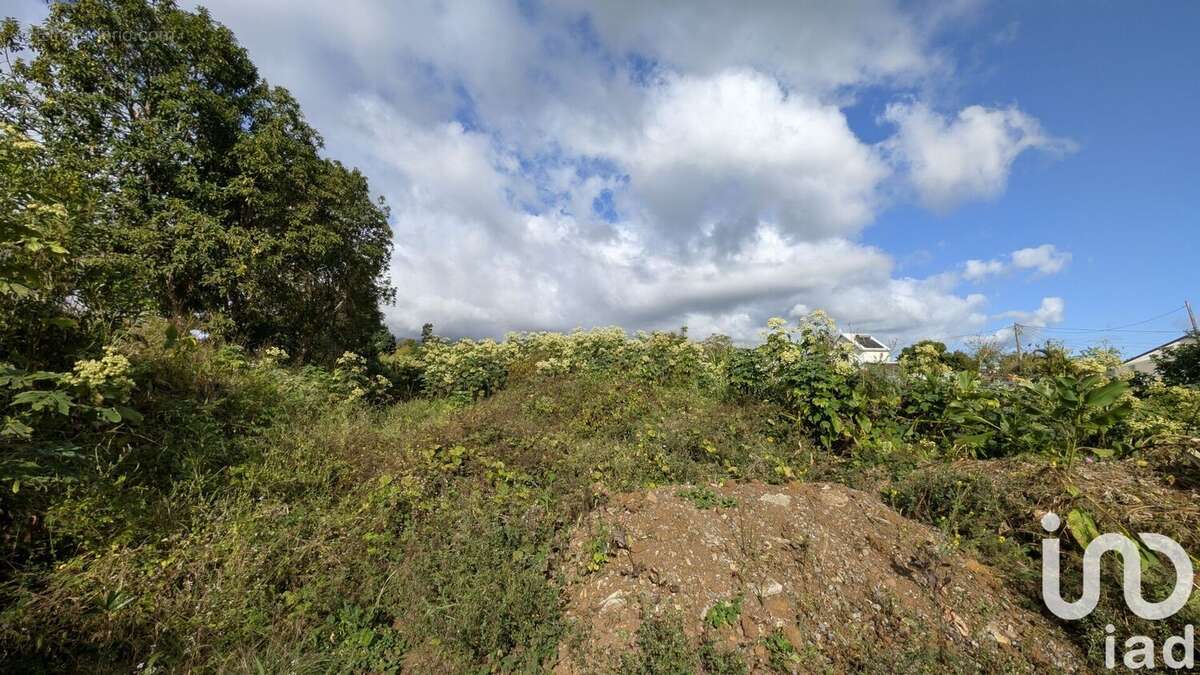 Photo 3 - Terrain à SAINT-PAUL