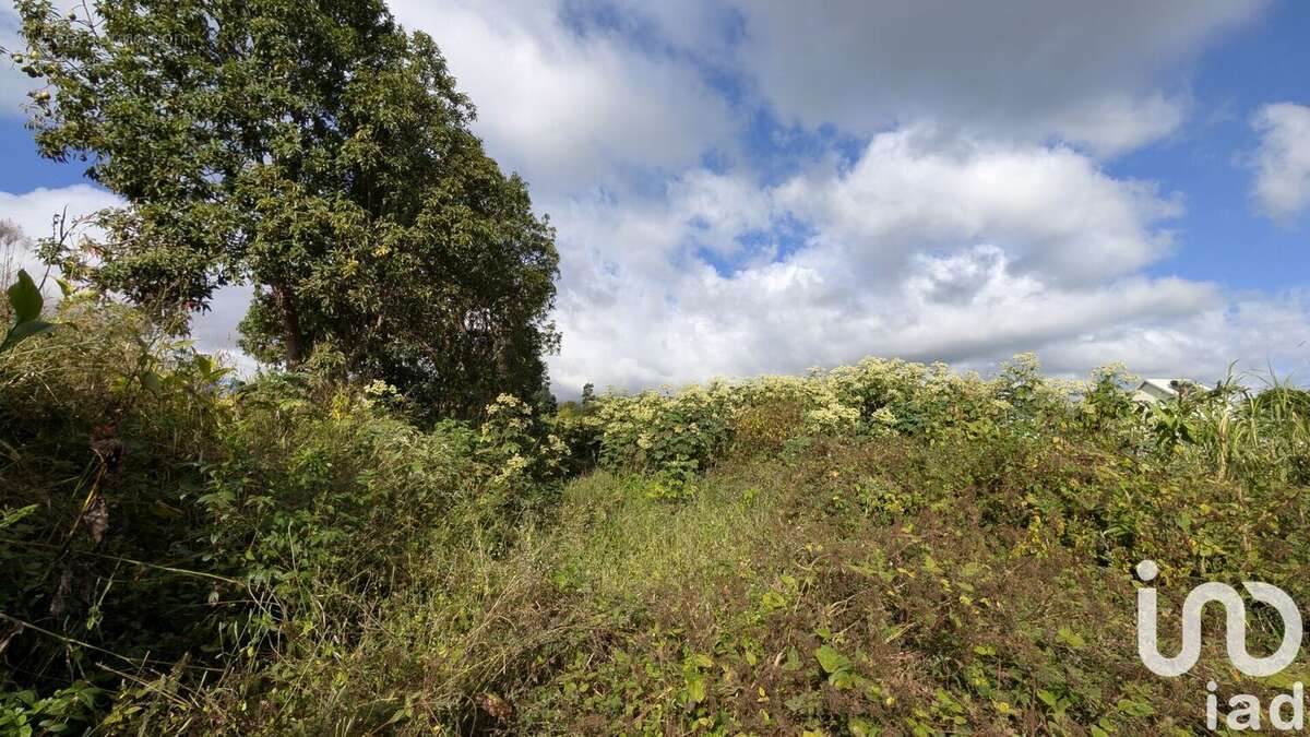 Photo 4 - Terrain à SAINT-PAUL