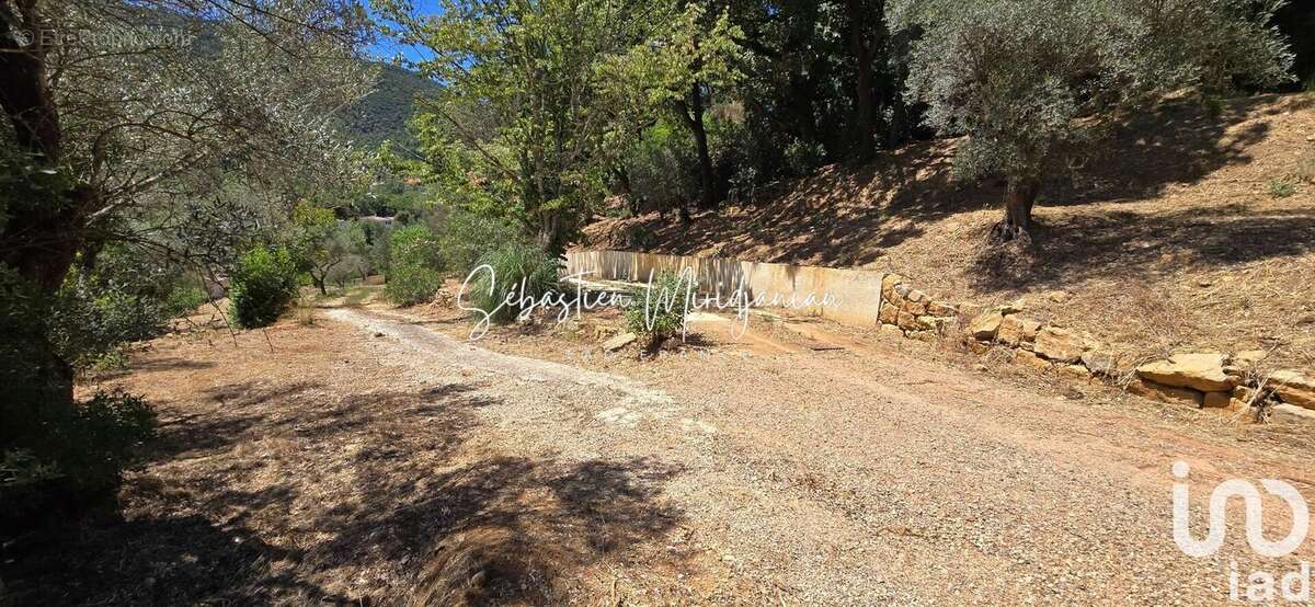 Photo 2 - Terrain à SOLLIES-TOUCAS