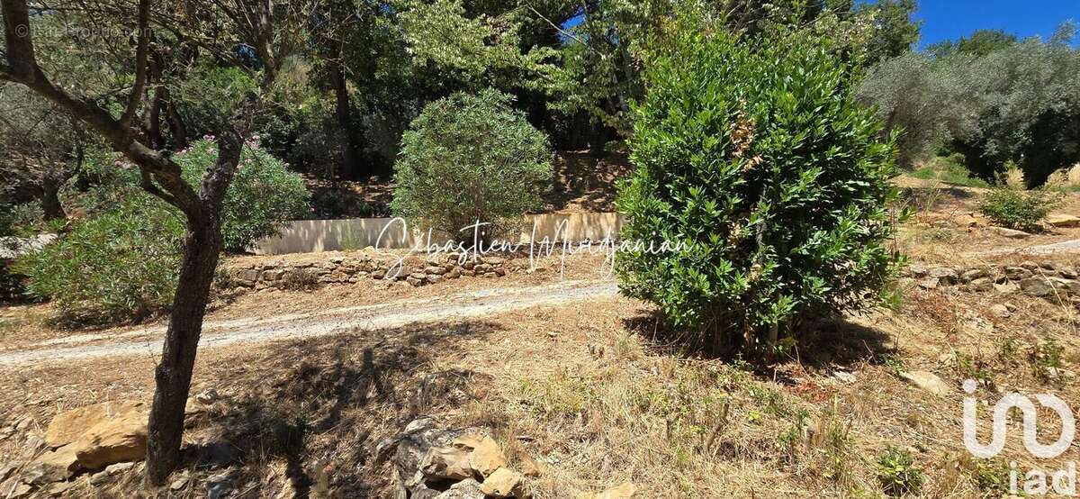 Photo 3 - Terrain à SOLLIES-TOUCAS