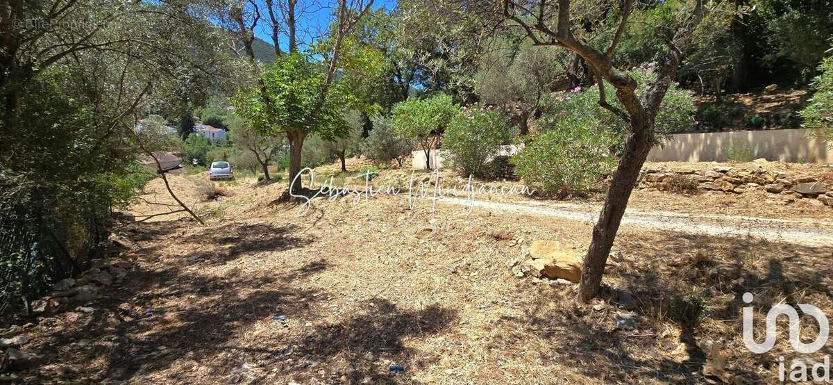 Photo 4 - Terrain à SOLLIES-TOUCAS