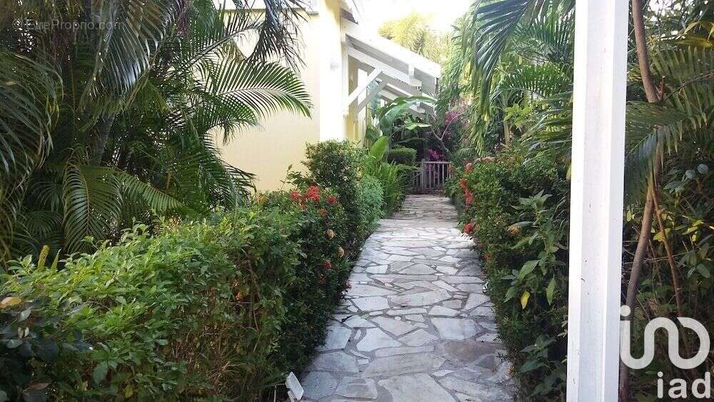 Photo 2 - Appartement à SAINT-FRANCOIS