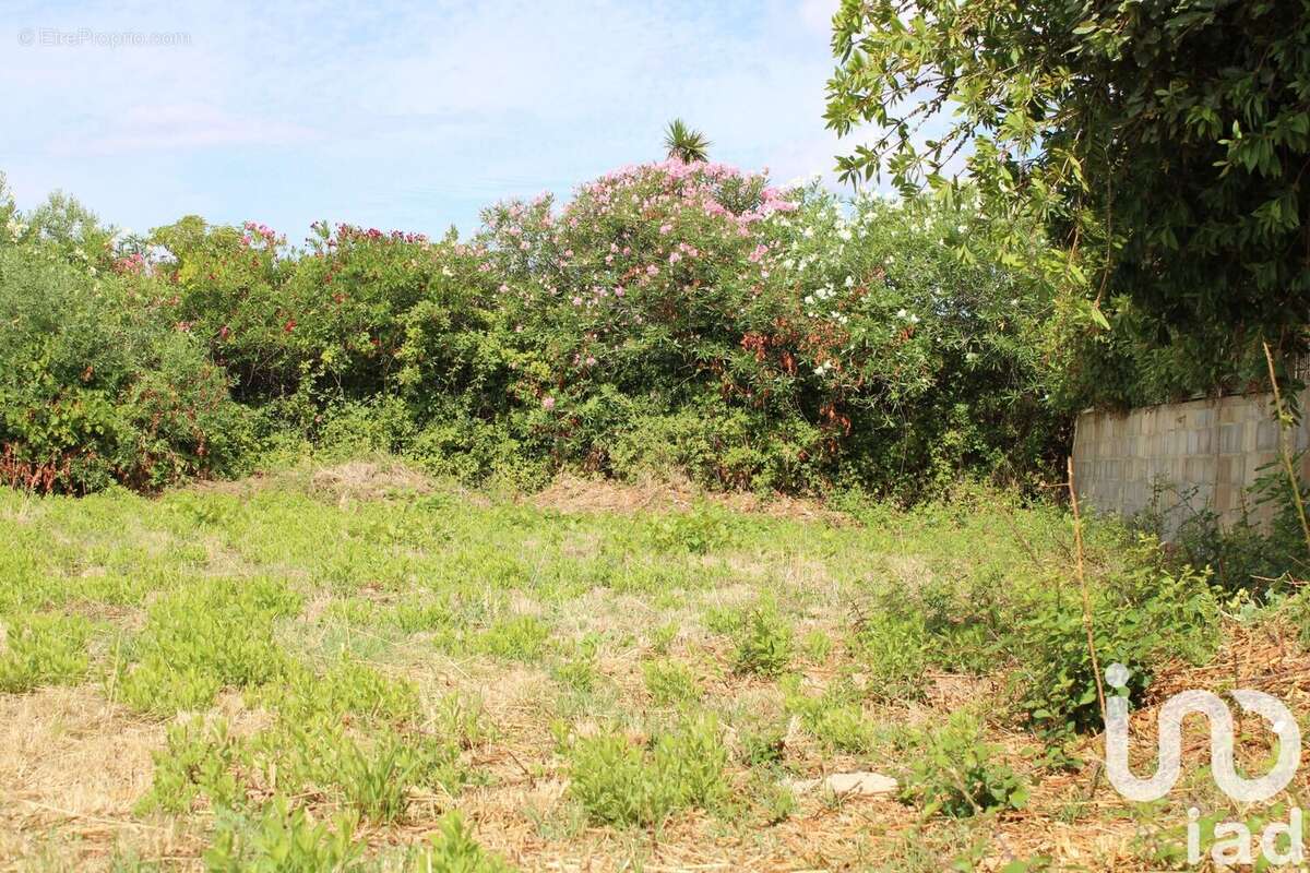 Photo 3 - Terrain à VILLENEUVE-LES-BEZIERS