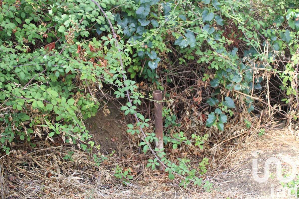 Photo 6 - Terrain à VILLENEUVE-LES-BEZIERS