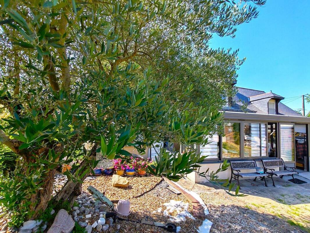 Photo 1 - Maison à GENNES