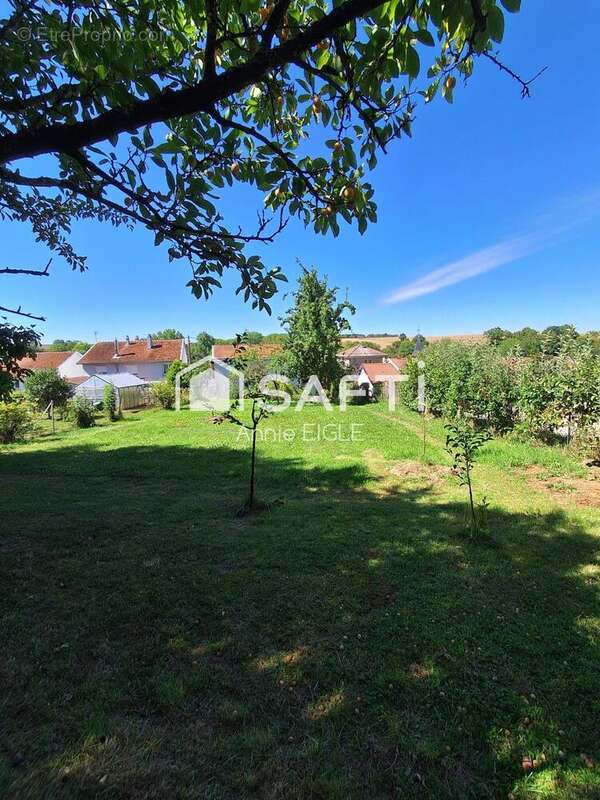 Photo 8 - Maison à VILLE-SUR-COUSANCES