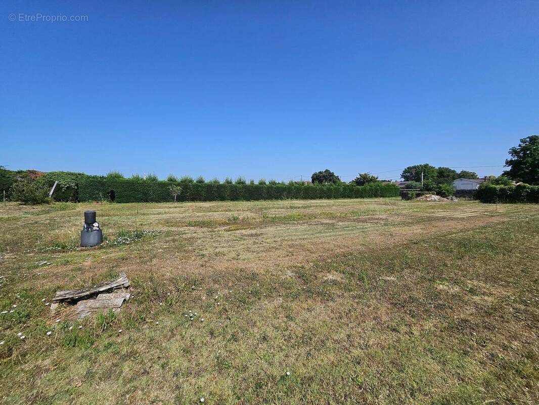 Photo 1 - Terrain à SAINT-SEURIN-DE-CADOURNE