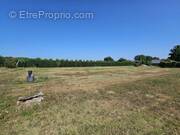 Photo 1 - Terrain à SAINT-SEURIN-DE-CADOURNE