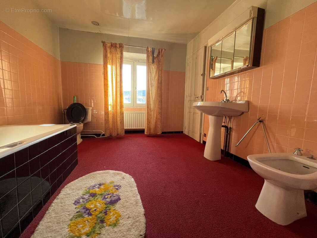 Maison à RIOM-ES-MONTAGNES