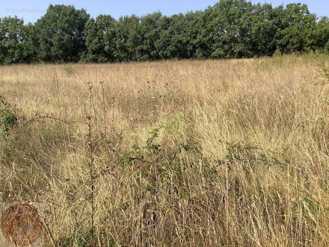 Terrain à AIGREMONT