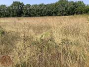 Terrain à AIGREMONT