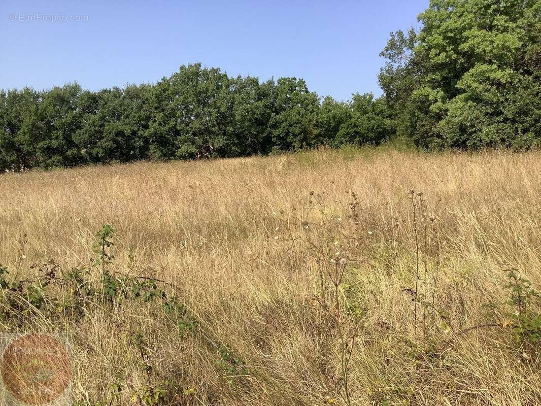 Terrain à AIGREMONT