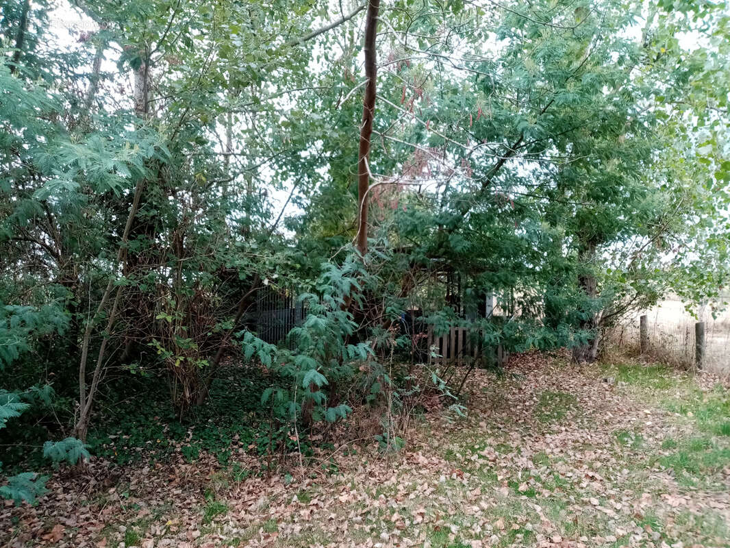 Maison à CHEMIRE-SUR-SARTHE