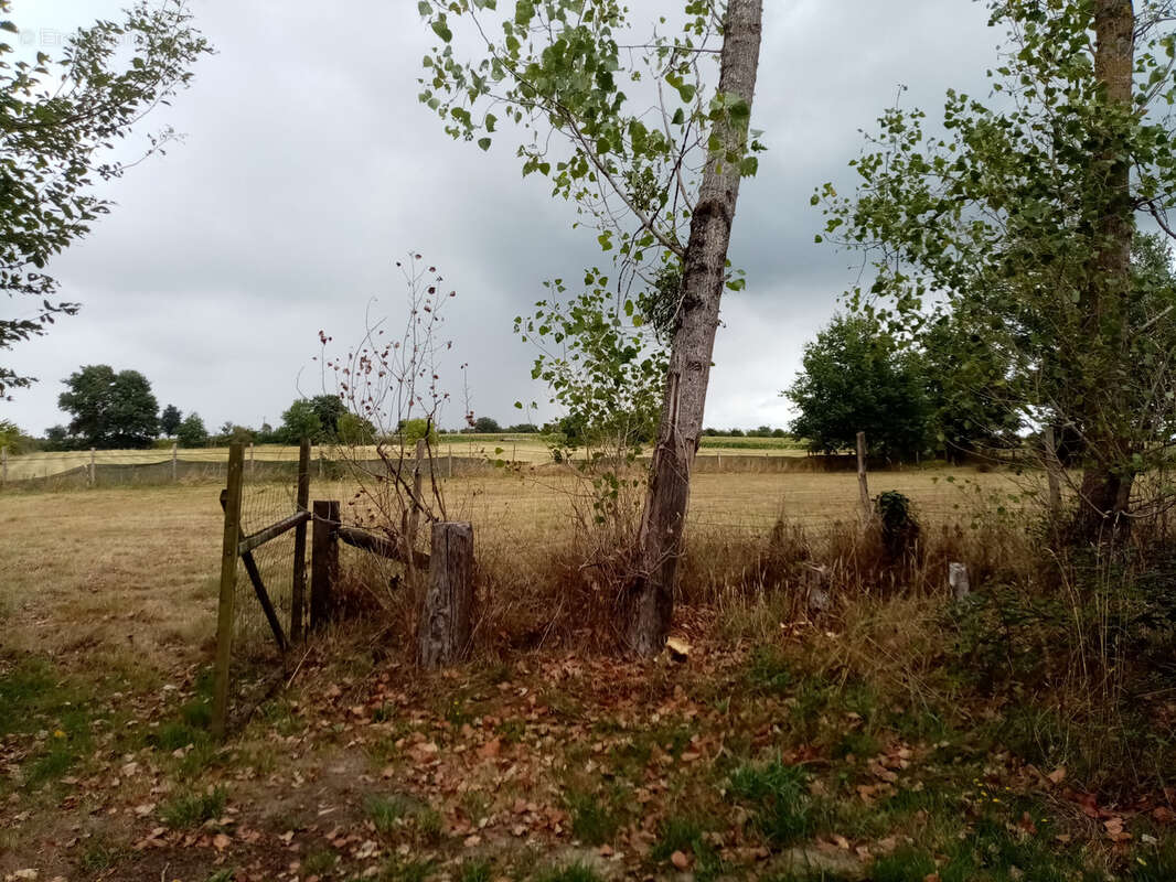 Maison à CHEMIRE-SUR-SARTHE