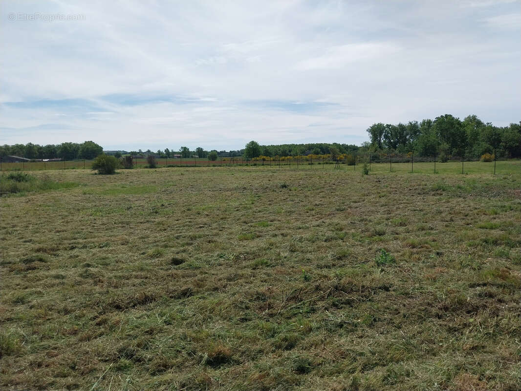 Terrain à PUYGAILLARD-DE-QUERCY