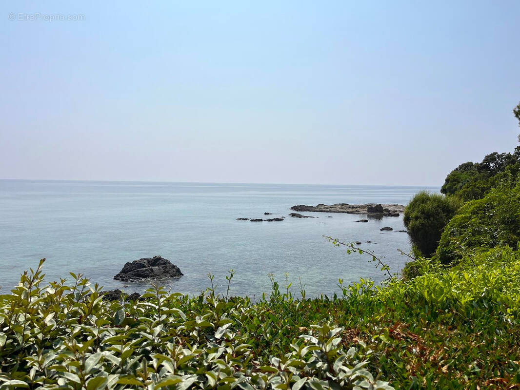 Appartement à SARI-SOLENZARA