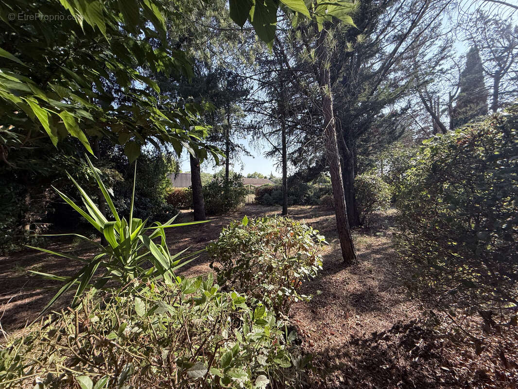 Maison à SAINT-JEAN-DE-FOS