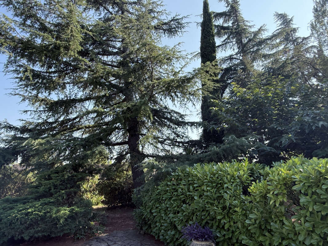 Maison à SAINT-JEAN-DE-FOS