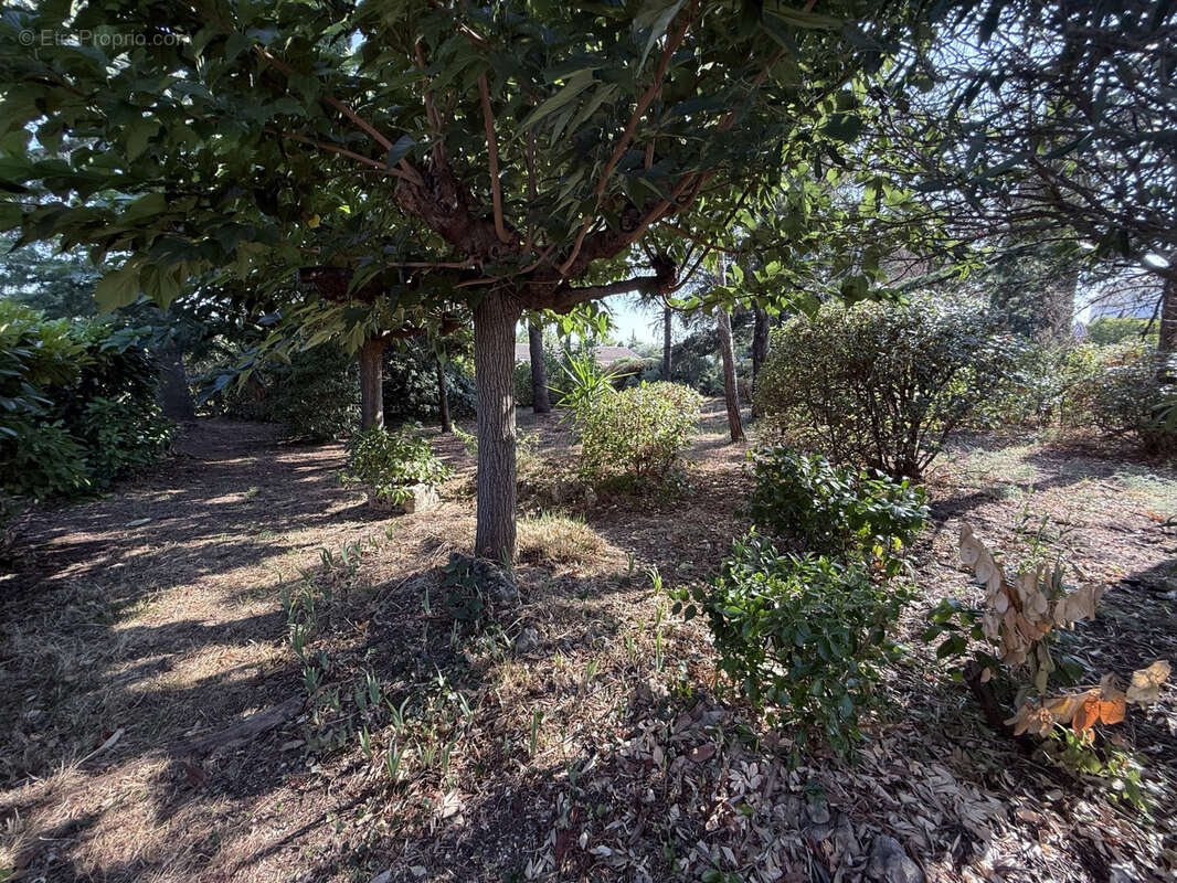 Maison à SAINT-JEAN-DE-FOS