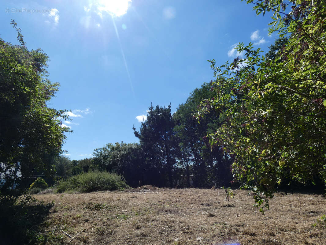 Terrain à PLOUGONVEN