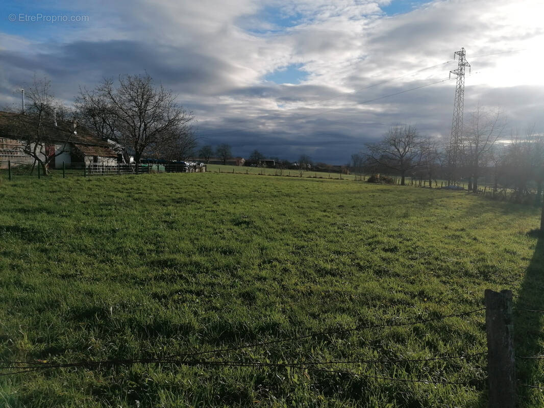 Terrain à LA BRUYERE