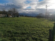 Terrain à LA BRUYERE